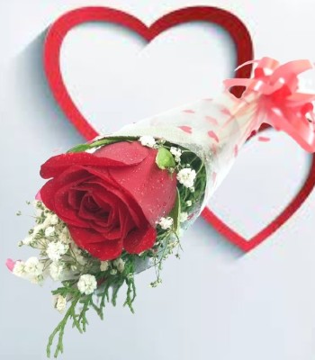 1 Red Rose Arrangement - Valentine's Day Best Seller